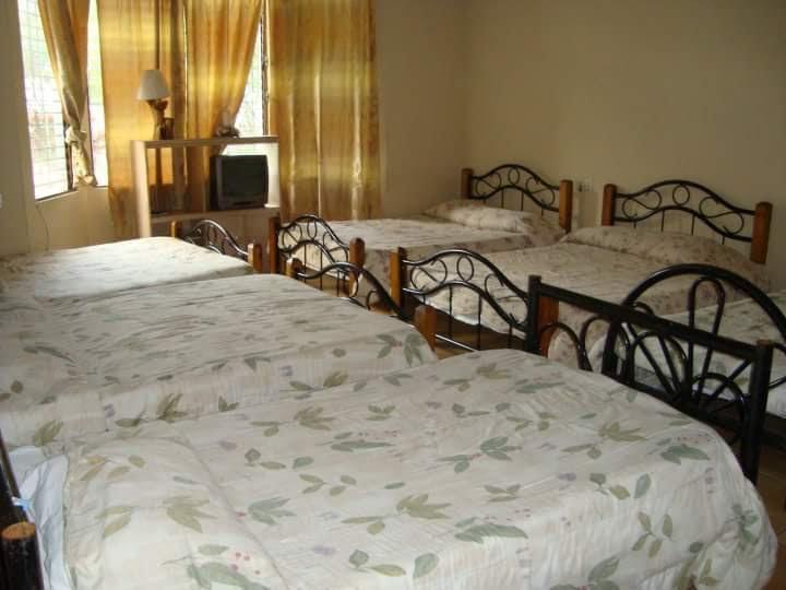 סאן סלבדור Hotel Alamo Internacional מראה חיצוני תמונה