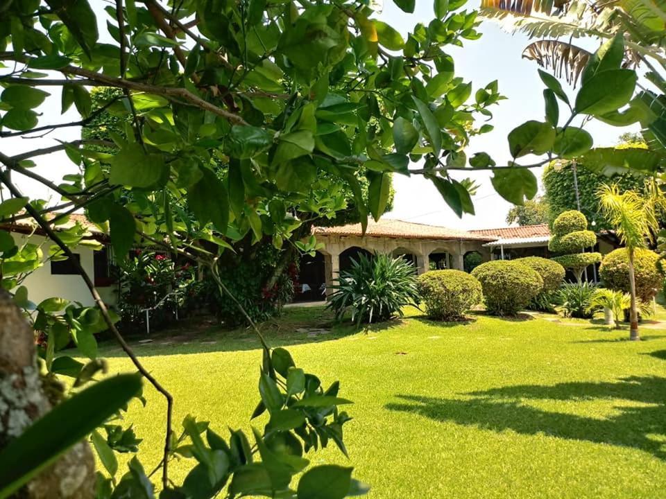 סאן סלבדור Hotel Alamo Internacional מראה חיצוני תמונה