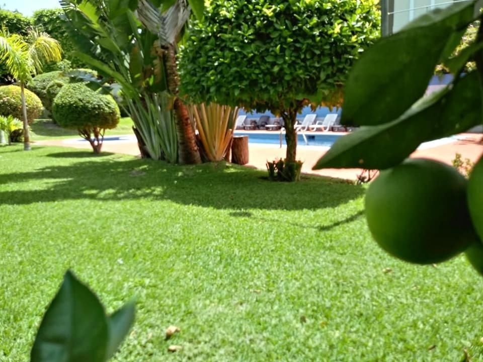 סאן סלבדור Hotel Alamo Internacional מראה חיצוני תמונה