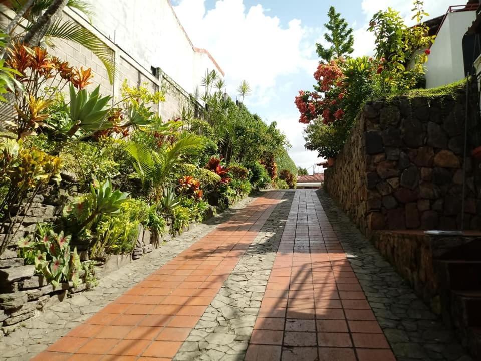 סאן סלבדור Hotel Alamo Internacional מראה חיצוני תמונה